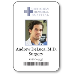 Andrew Deluca BADGE HALLOWEEN COSTUME Greys Anatomy Badge Halloween Costume Accessory